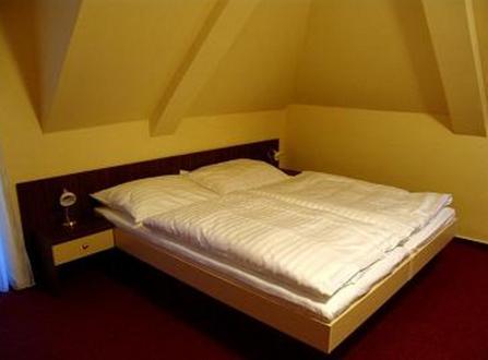 Hotel Altenberg Stare Hory Ruang foto