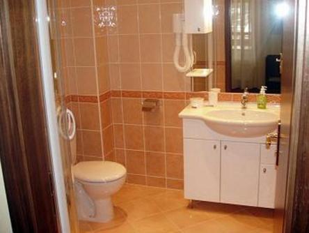 Hotel Altenberg Stare Hory Ruang foto