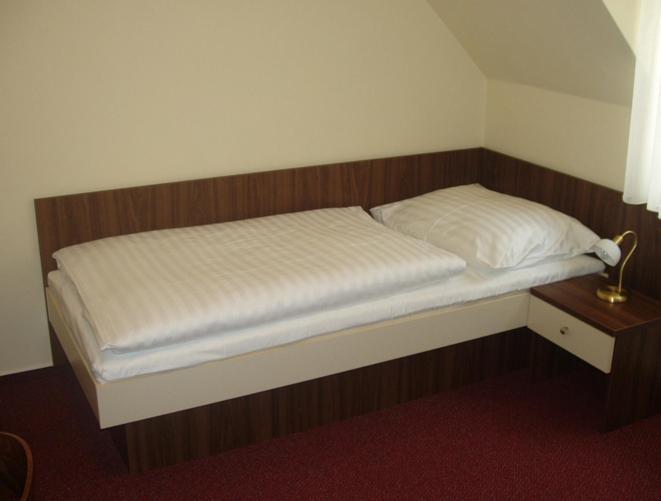 Hotel Altenberg Stare Hory Ruang foto
