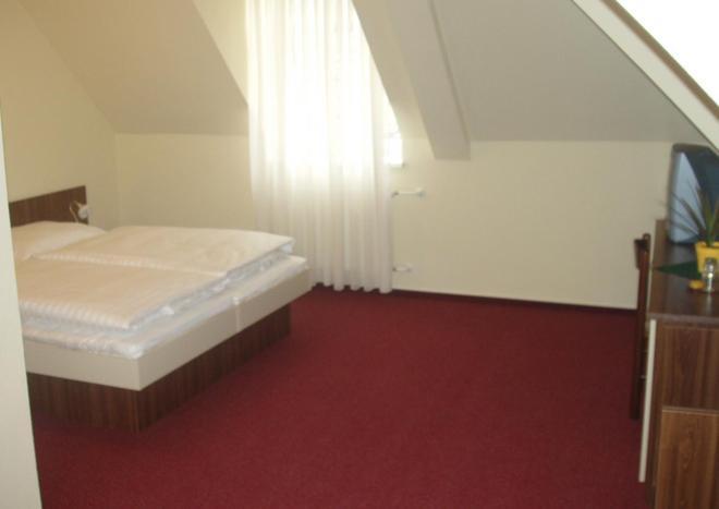 Hotel Altenberg Stare Hory Ruang foto